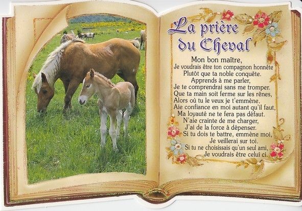 La prière du chat +La prière du cheval 931bda33