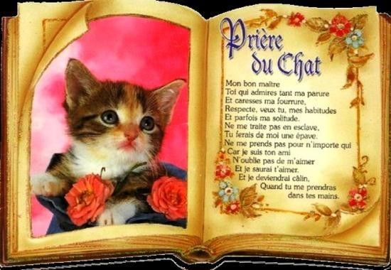 La prière du chat +La prière du cheval Ae40dcae