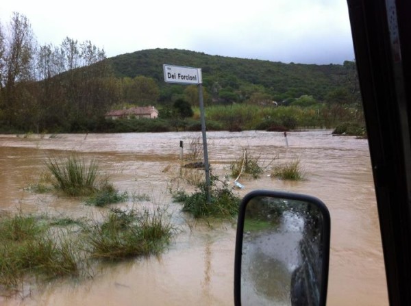 novembre - Osservazioni 7 novembre (alluvione elba) - Pagina 2 1320669074486_314978_2358876183953_1611724487_2220457_1582370630_n