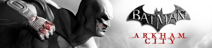 Batman Arkham City Banner