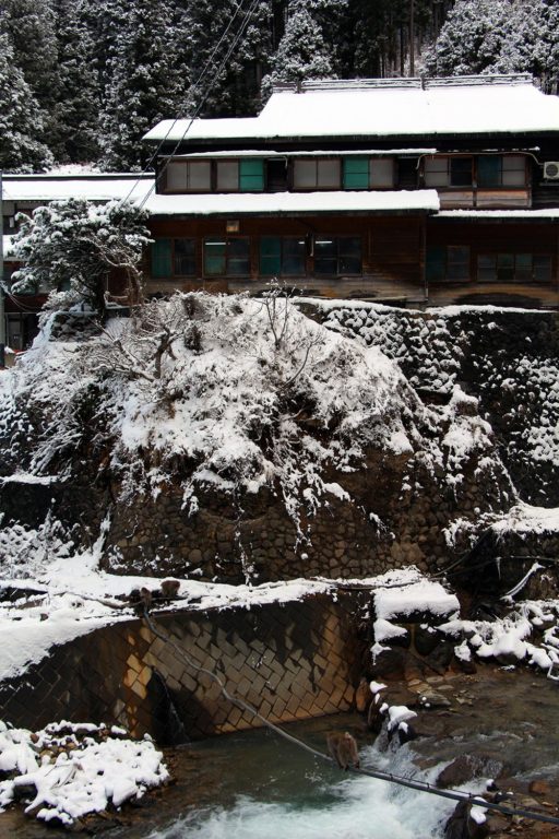 Jigokudani, la vallée des singes de neige à Nagano Nagano-singes-neige-snow-monkey_24-512x768