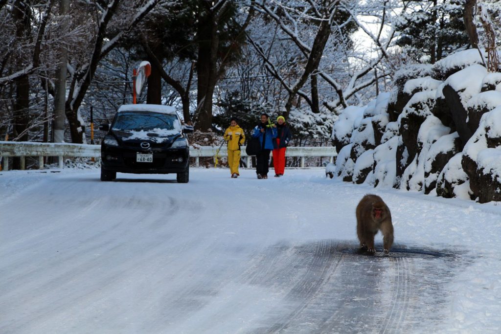 Jigokudani, la vallée des singes de neige à Nagano Nagano-singes-neige-snow-monkey_3-1024x683