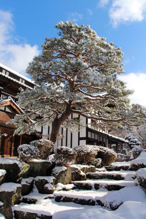 Jigokudani, la vallée des singes de neige à Nagano Nagano-singes-neige-snow-monkey_56-512x768