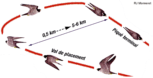 Calvin de Lormeigny; C'est un avion! C'est un oiseau! Non! - Page 8 Vitess1