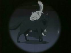 Wolf's Rain Bscap228