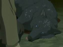 Wolf's Rain Bscap266