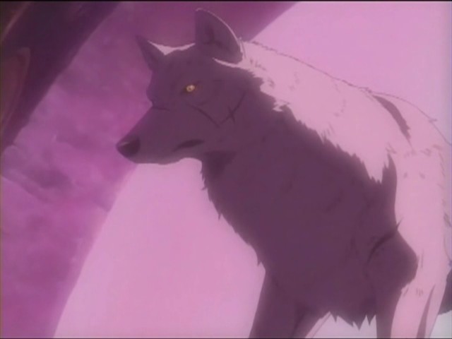 Wolf's Rain Kiba53