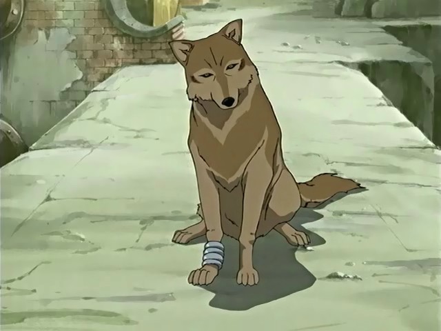 Wolf's rain Toboe12