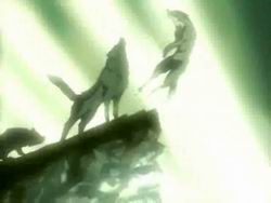 Wolf's Rain Bscap407