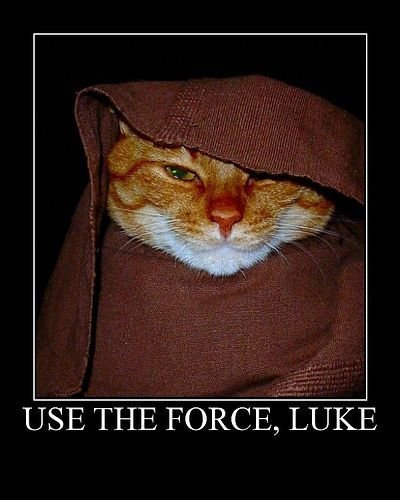 humor Use-The-Force