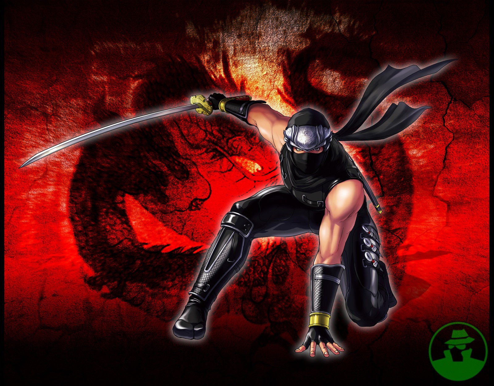 Ninja Gaiden: Dragon Sword Pictures