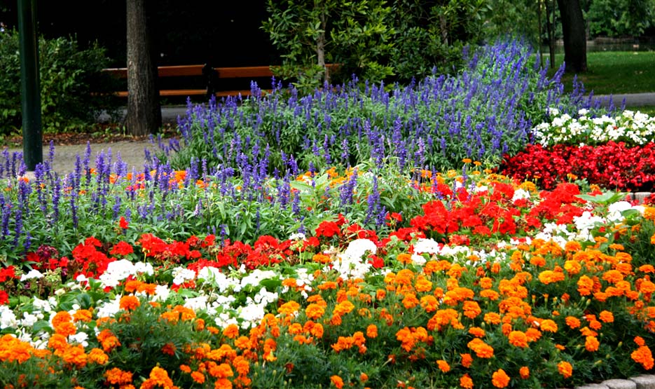 LA PRIMAVERA LLEGO¡!! - Página 19 Flores-01