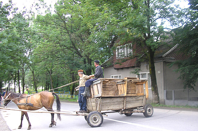 Ukraine Cheval2yasinia85