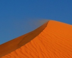 Dunedune