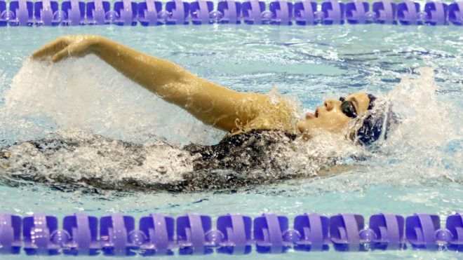 Natación 2017 - Página 3 15012293106938