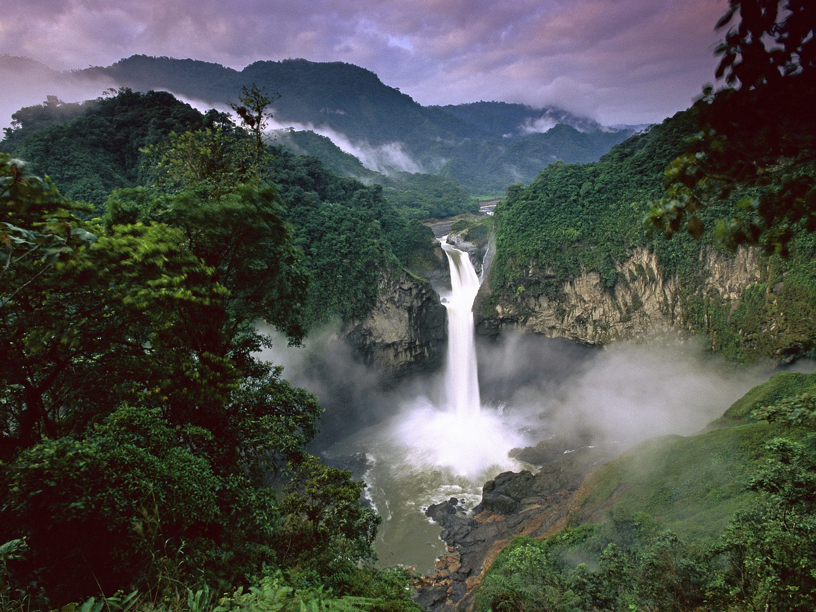 Le combat judiciaire continue entre l'Equateur et la multinationale Chevron Yasuni-national-park