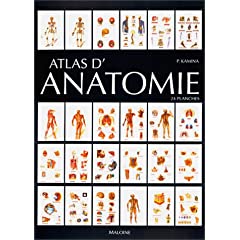 Atlas d'anatomie de Pierre Kamina 2224025866.08._AA240_SCLZZZZZZZ_