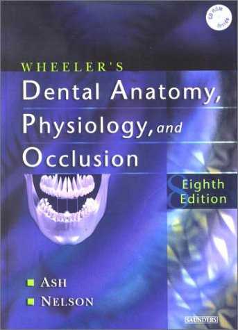 Wheeler's Dental Anatomy, Physiology and Occlusion 0721693822.01._SCLZZZZZZZ_V1056471420_