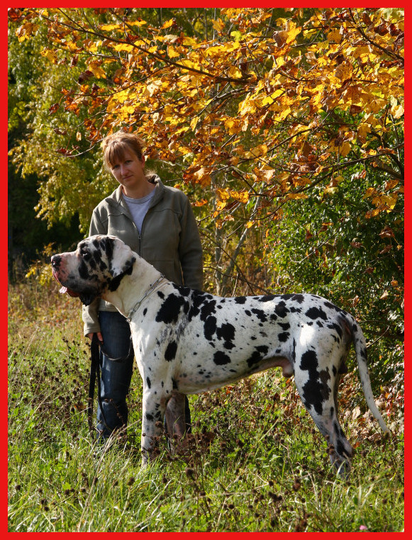 Concour photo d'Automne IMG_7020site