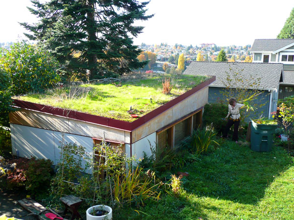 Zeleni krovovi   Garage_green_roof_in_mount_baker_nzijk
