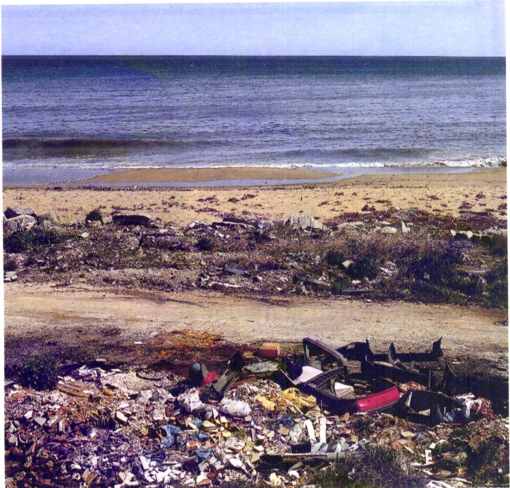 (topic alacon) LE DERNIER QUI POSTE DANS CE THREAD GAGNE - Page 24 Pollutionplage