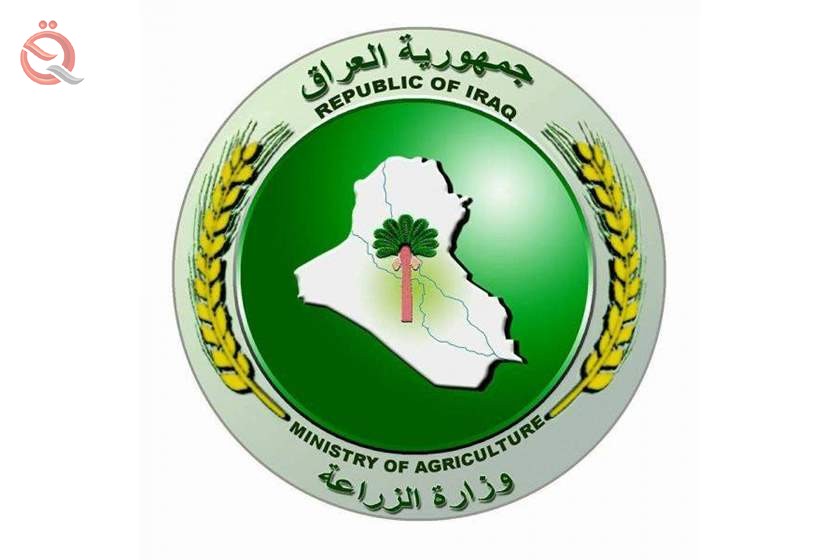 The Minister of Agriculture directs to facilitate the procedures of completing the procedures of renewing agricultural contracts 17493