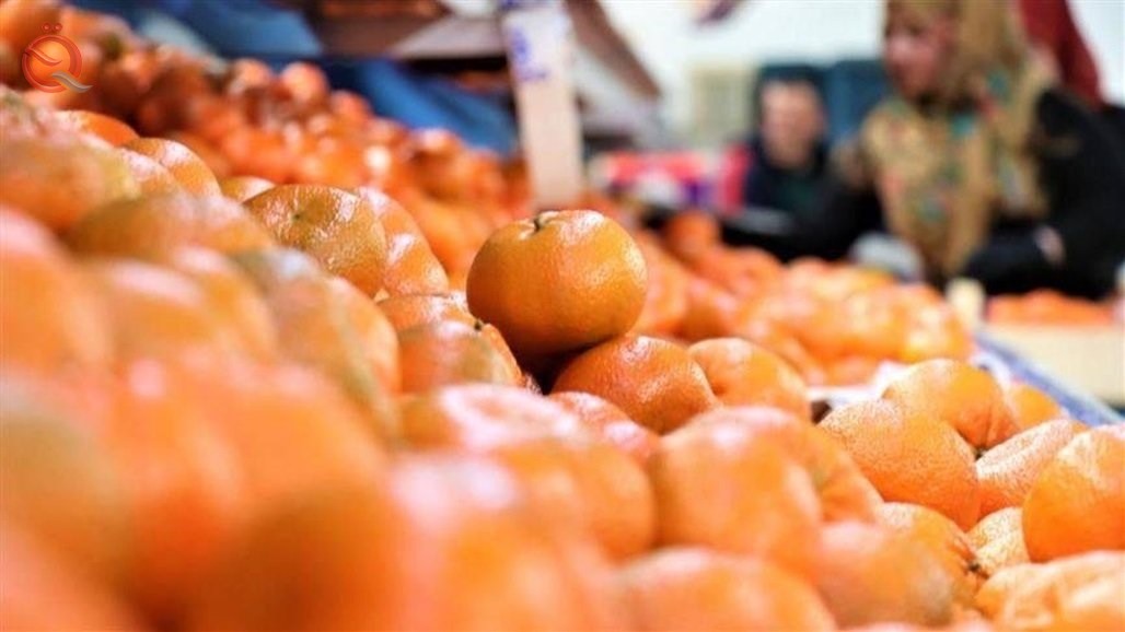 Iraq is the third citrus importer from Turkey 21410