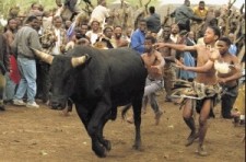 Sacrificios en el Mundial de Fútbol Ritual_zulu