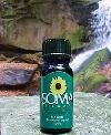 Eucalyptus Globulus Oil by SomaTherapy 16oz. | Steam Room 219GHM0PH7L