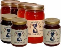 Wild Plum Jam 4.8 ounce 318QPWAJQCL._SL210_