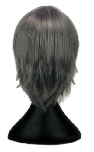 Cool2day Straight Eva & REBORN! Hayato Gokudera Cosplay Costume Wigs short Halloween Party Wig JF010679 | Top Hair Shamp 31DyvZQh5mL