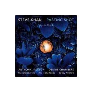 Steve Khan with Dennis Chambers  & Anthony Jackson New CD 31FLcC2wZEL._SL500_AA300_