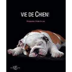 une vie de chien de araldo de luca 414EtY%2BU9QL._SL500_AA240_