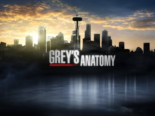 Grey's Anatomy. 41Cns0ldtPL._SX500_