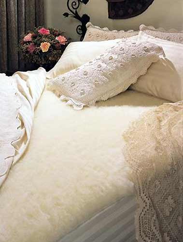 18:00 Discount SnugSoft Deluxe Bed Mattress Cover Size: 80" H x 60" W 51%2BniKLyjrL