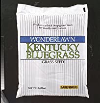 Kentucky Bluegrass Seed (KBGB2ACE00) 12 each 513McuwUxAL._SL210_