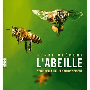 Les abeilles ont le bourdon ! - Page 5 5183GoOW17L._SL500_AA300_