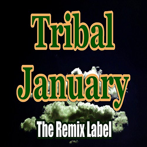 VA - Tribal January Vibrant House Music Compilation - WEB - 2016 - ENSLAVE 518Ad-H2KVL