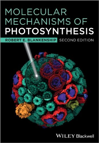 Molecular Mechanisms of Photosynthesis (2nd Edition) 519dQEmu9pL._