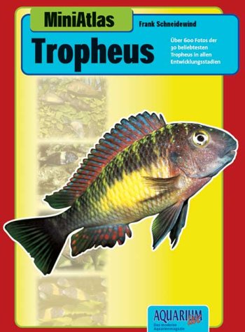 Foro polaco de Tropheus 51PBXT6BKSL