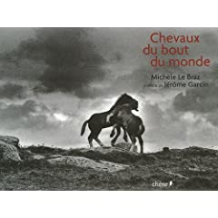 Librairie concernant le cheval Breton 51QVQFPJ6EL._AA240_