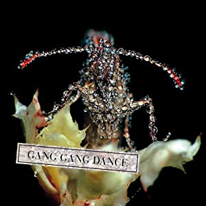 Gang Gang Dance - Eye Contact 51gsbwet7NL._SL500_AA300_