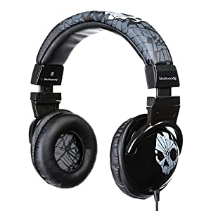 What headphones do you have? 51tStdBt%2ByL._SY300_