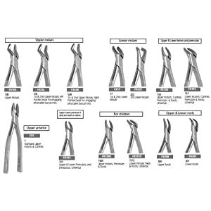 Extraction Forcep SET, 13 pcs (RONGEUR FORCEPS) 51wMndIfJUL._SL500_AA300_