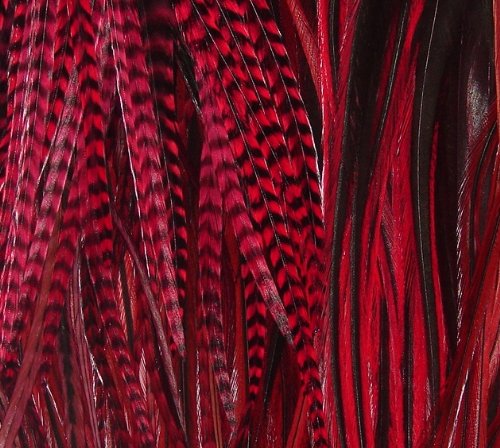 32 FeatherLights 5inch to 9inch Rainbow Collection Scarlet, Crimson, Pink,Green, Sunburst All Natural Premium Feather Ha 61j525Xek3L