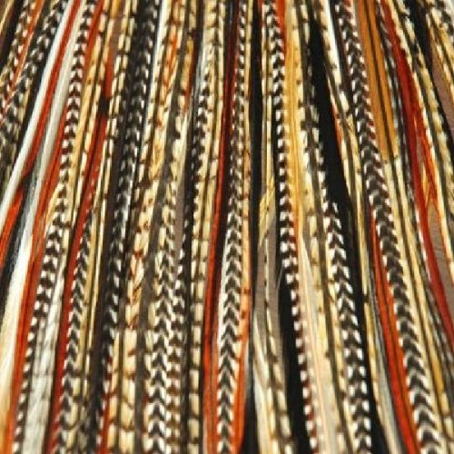 Sexy Sparkles 5inch-7inch Black with Browns & Beige Quality Salon Feathers for Hair Extension | Hair Extension Buy 61xeE5YZwQL