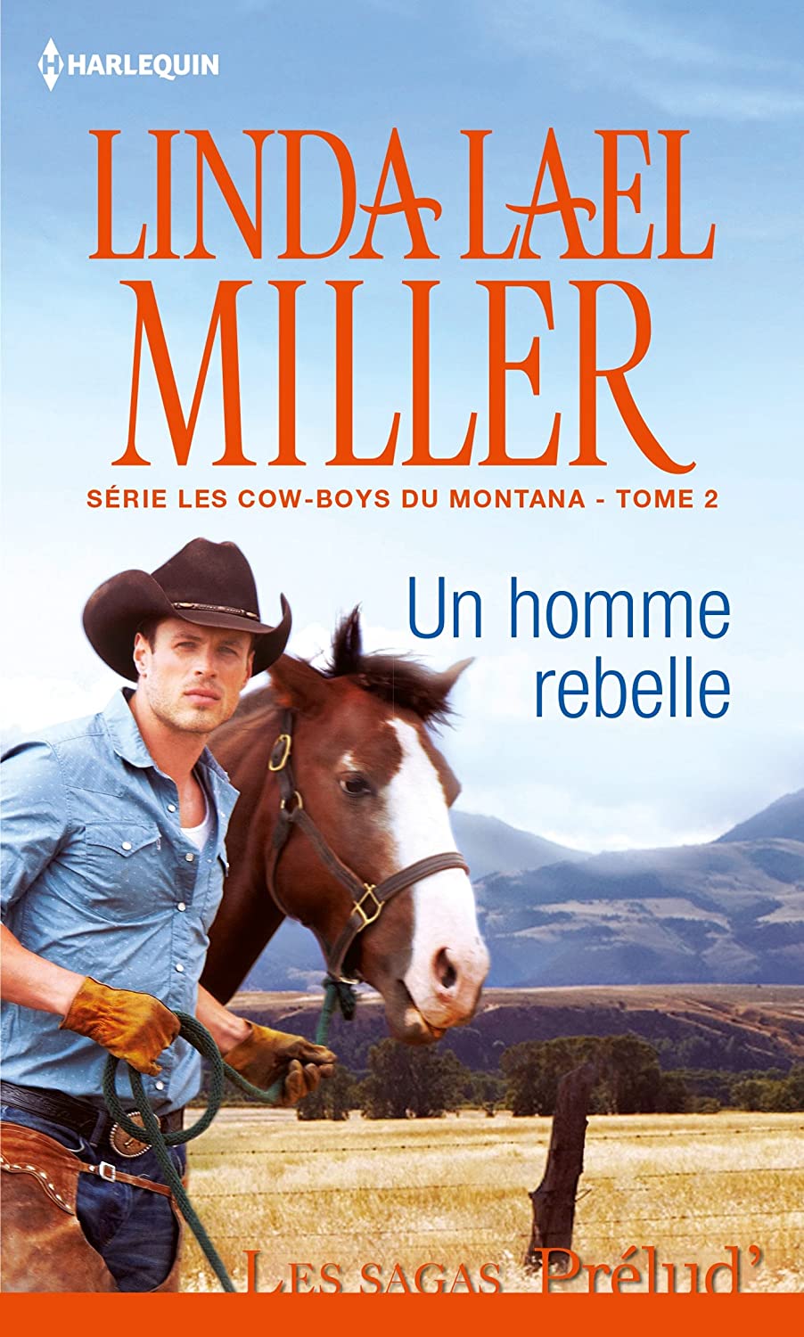 Les cowboys du Montana, Tome 2 : Un homme rebelle 81U-0-4ghHL._SL1500_