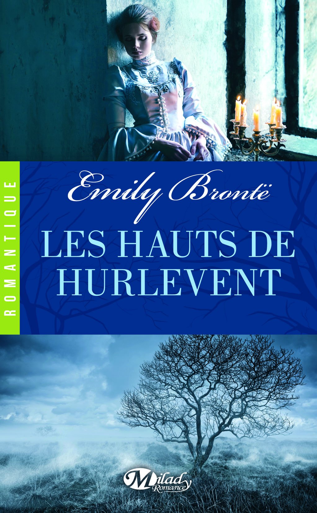 Les Hauts de HurleVent 81e0h9UE1lL