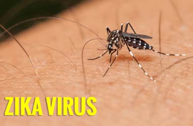 ¡ El virus Zika es otro fraude ! Zika-vmosquito