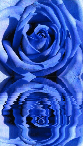 ANNIVERSAIRE de Fleur bleue W2n5wfuw